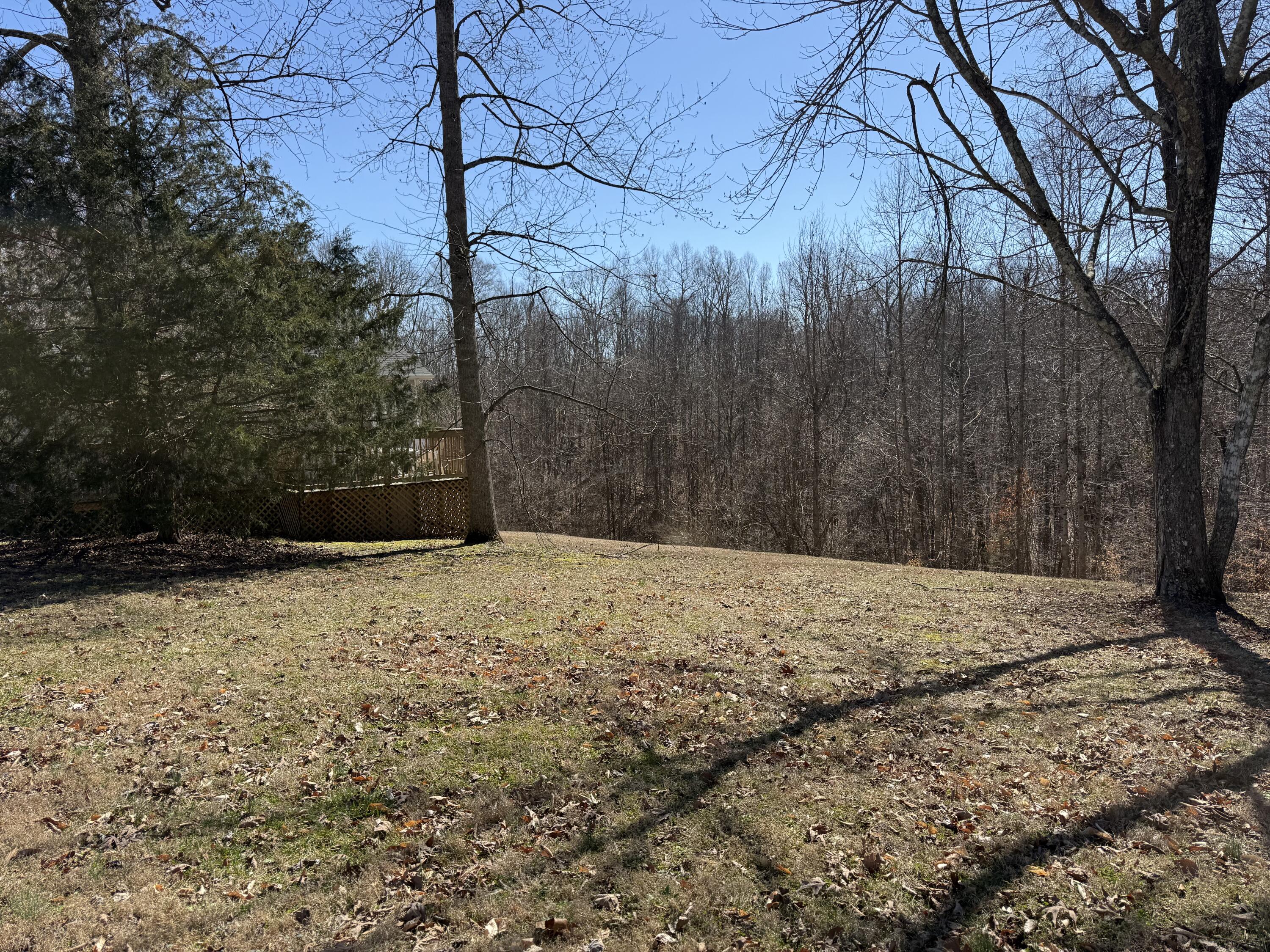 837 Crockett Road Russell Springs, KY 42642 - Photo 15 of 16 One acre m/l to be surveyed.