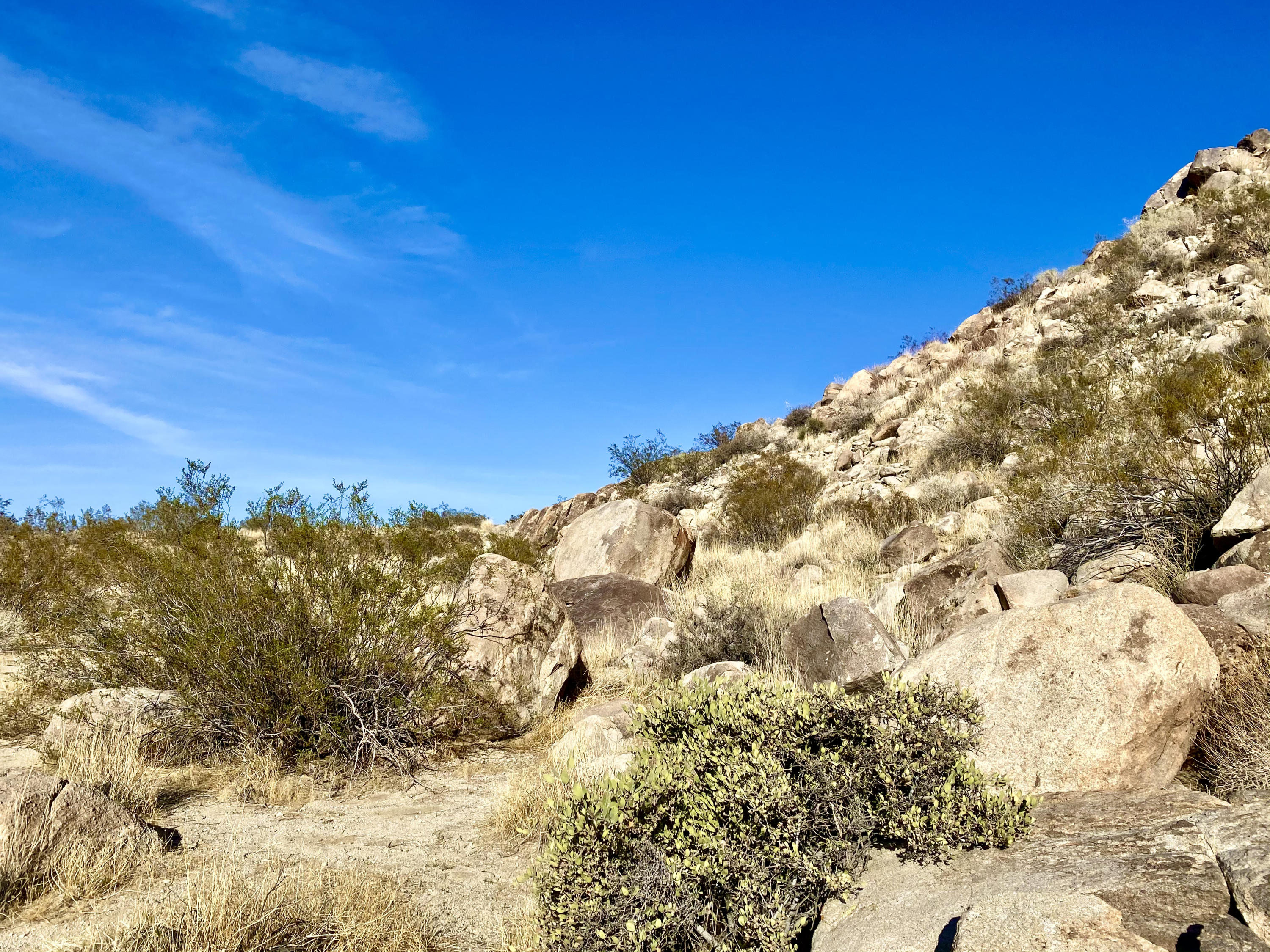 104 Sullivan Road Joshua Tree, CA 92252 - Photo 7 of 25 a view of a large building with mountains in the background