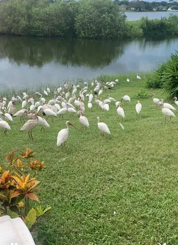 a view of a lake from a yard