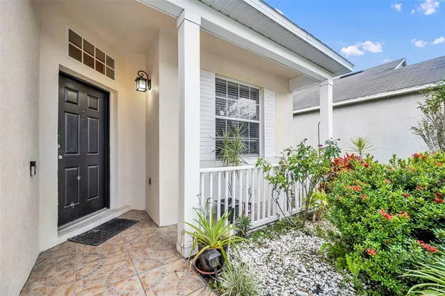 a flower plants in front of a door