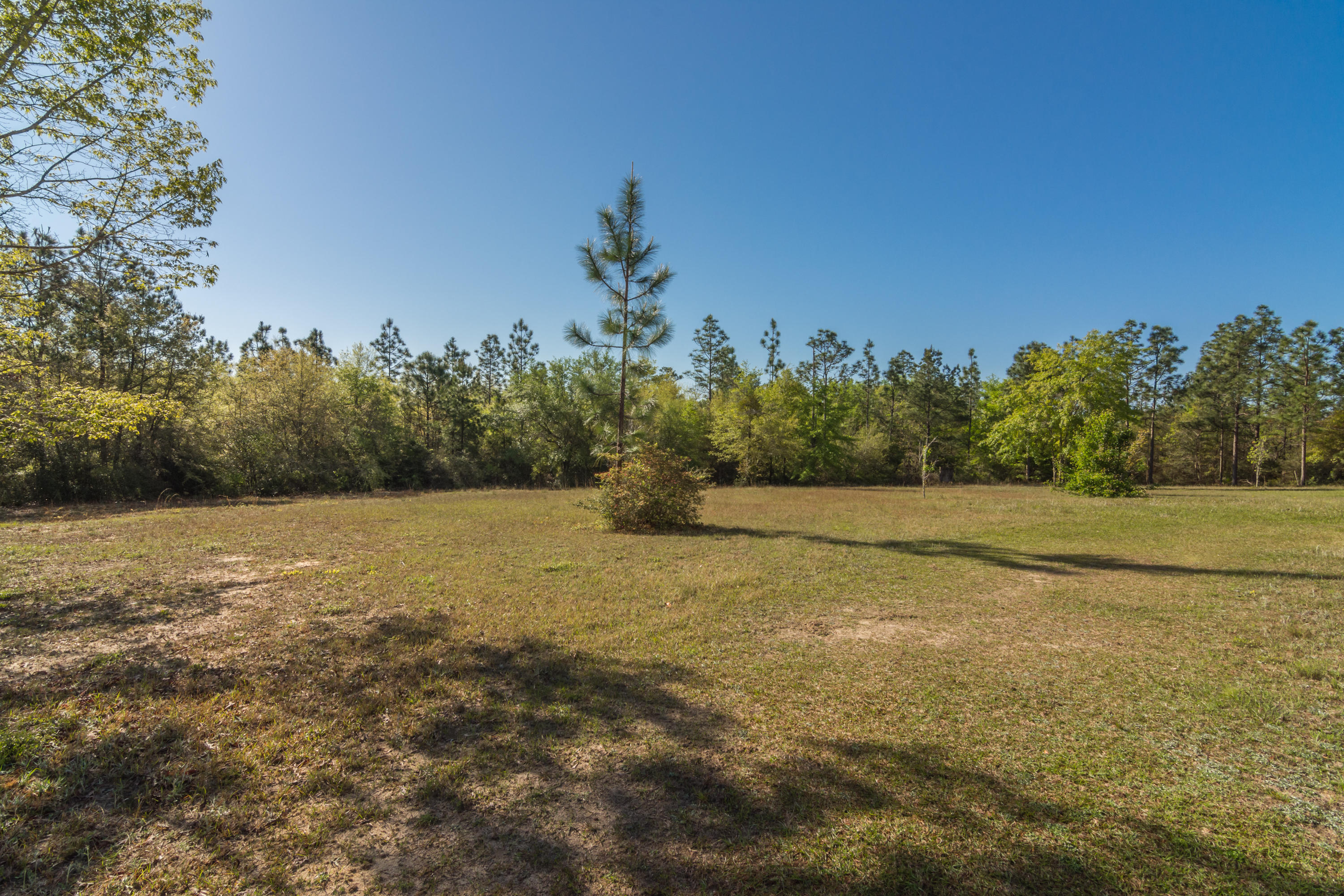 111 Fulford Road DeFuniak Springs, FL 32435 - Photo 4 of 35 Gallery Image 4