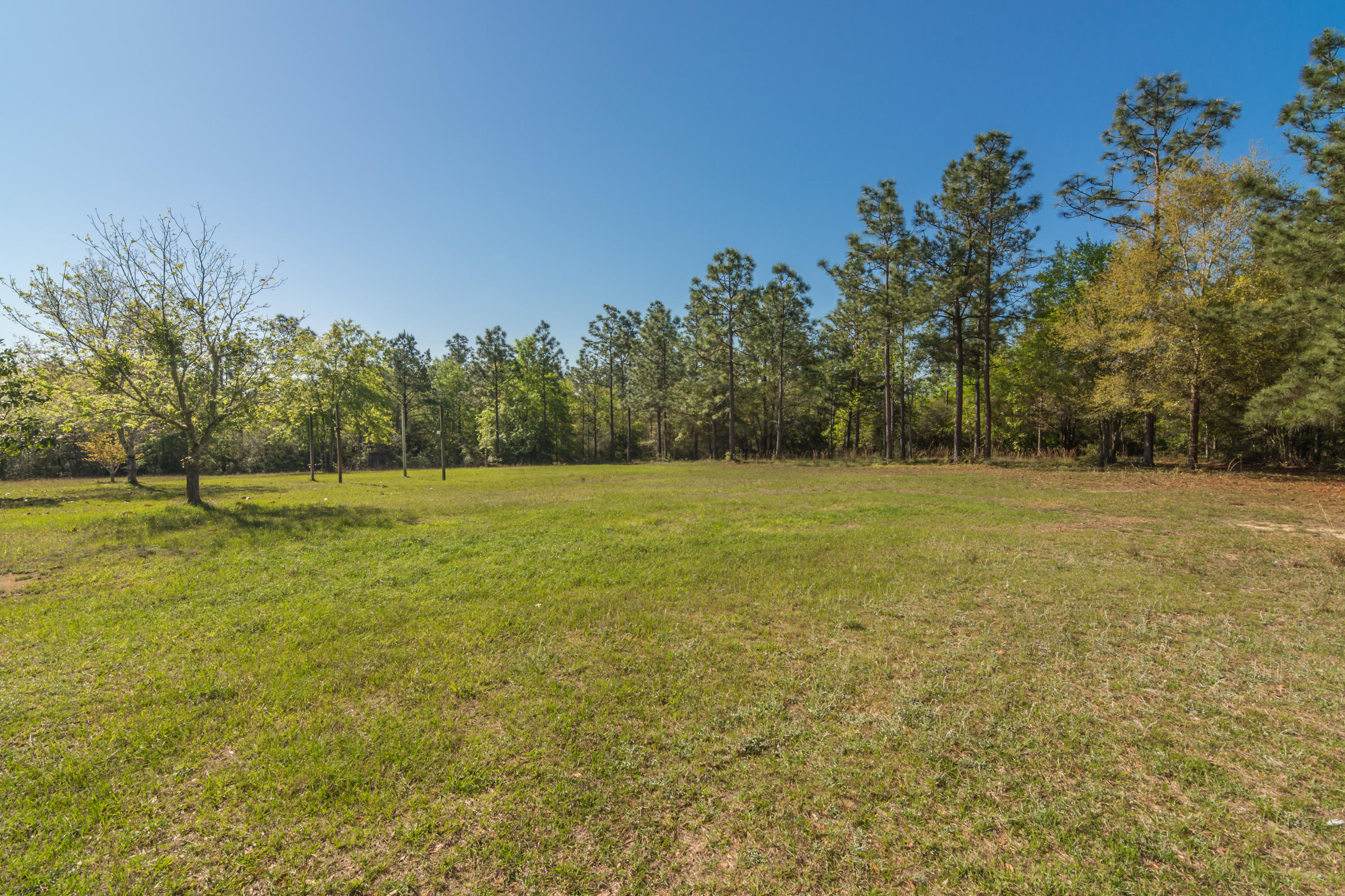 111 Fulford Road DeFuniak Springs, FL 32435 - Photo 5 of 35 Gallery Image 5