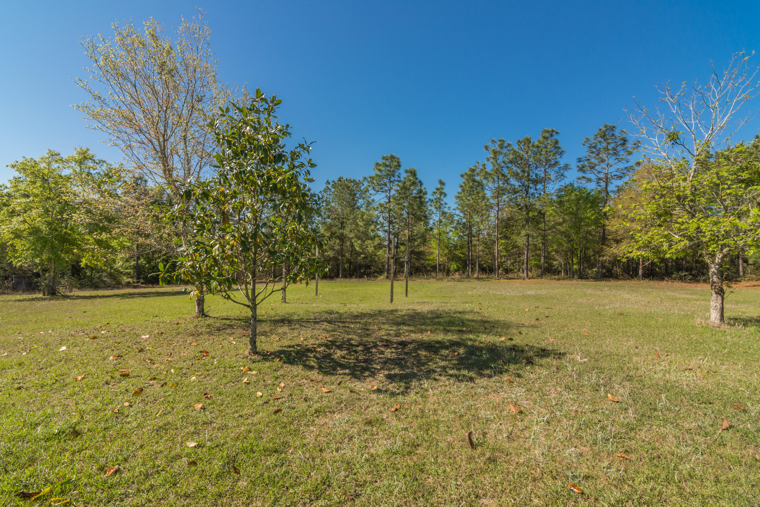 111 Fulford Road DeFuniak Springs, FL 32435 - Photo 6 of 35 Gallery Image 6