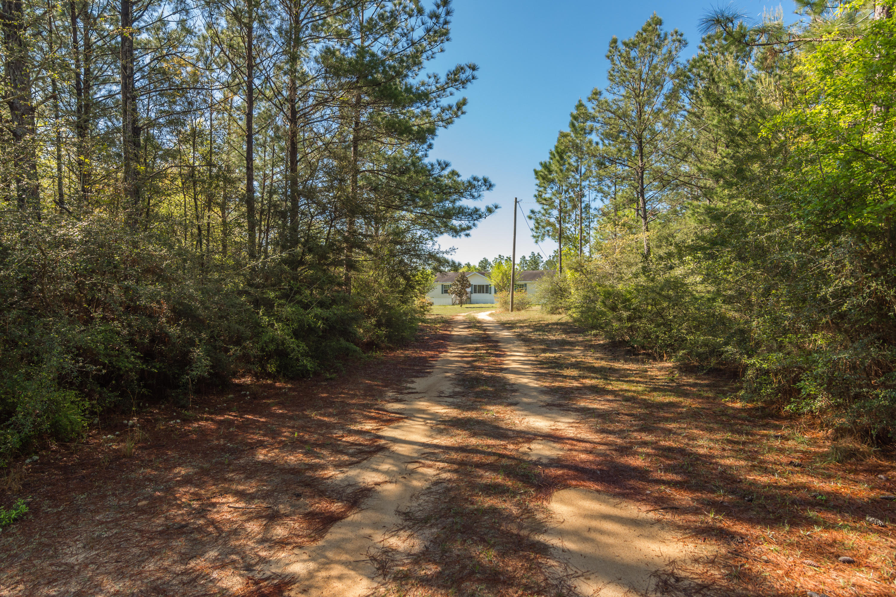 111 Fulford Road DeFuniak Springs, FL 32435 - Photo 7 of 35 Gallery Image 7