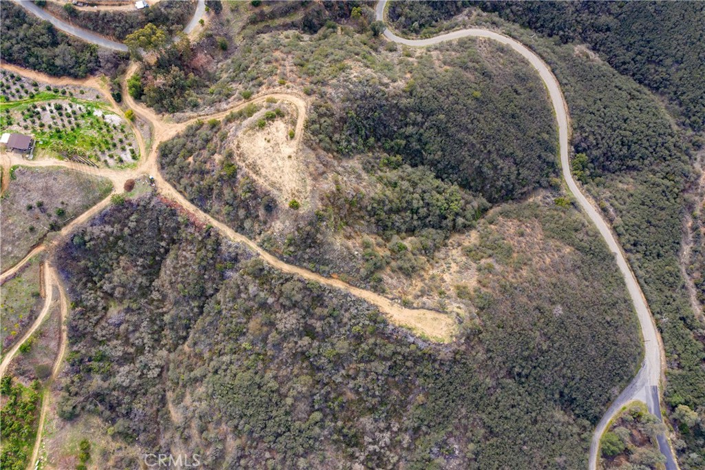 39939 Jones Road Fallbrook, CA 92028 - Photo 23 of 36 a view of a forest with a forest