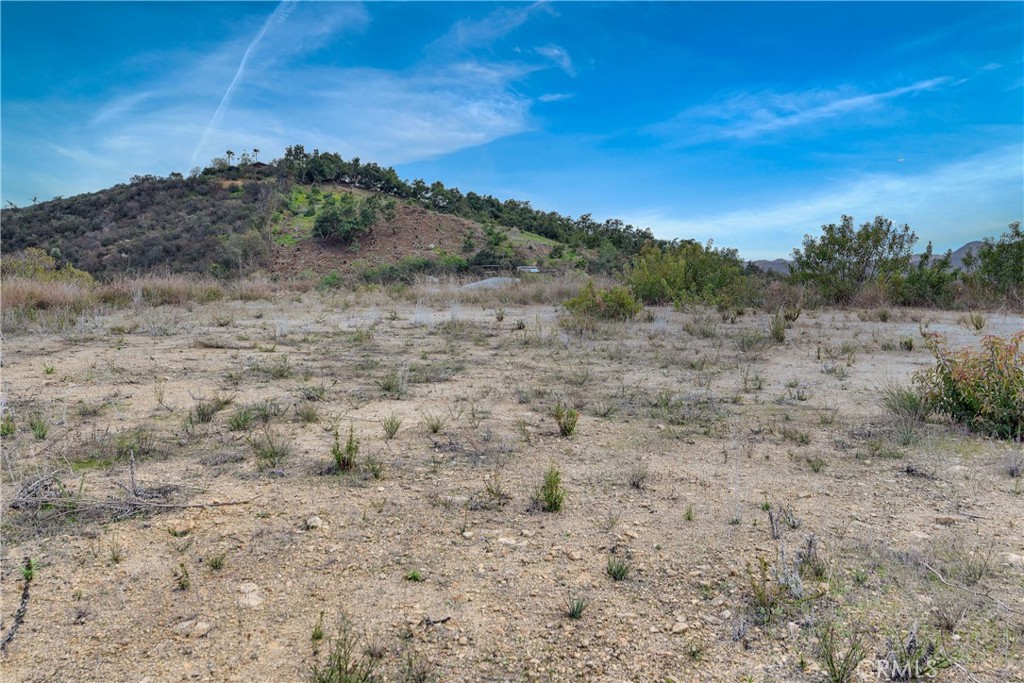 39939 Jones Road Fallbrook, CA 92028 - Photo 28 of 36 a view of a dry space with lots of trees