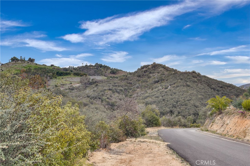 39939 Jones Road Fallbrook, CA 92028 - Photo 29 of 36 a view of a dry yard with mountains