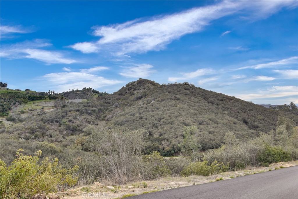 39939 Jones Road Fallbrook, CA 92028 - Photo 30 of 36 a view of a dry yard with mountains in the background
