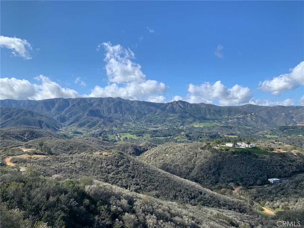 39939 Jones Road Fallbrook, CA 92028 - Photo 31 of 36 a view of a backyard of a house