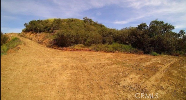 39939 Jones Road Fallbrook, CA 92028 - Photo 5 of 36 a view of a yard