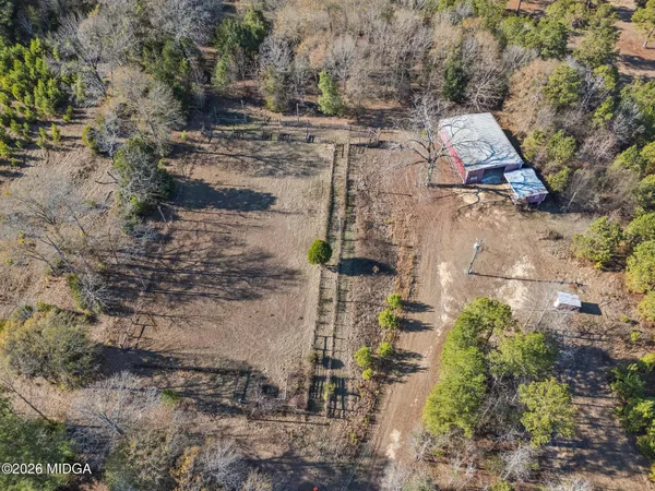a view of a dry yard with lots of trees