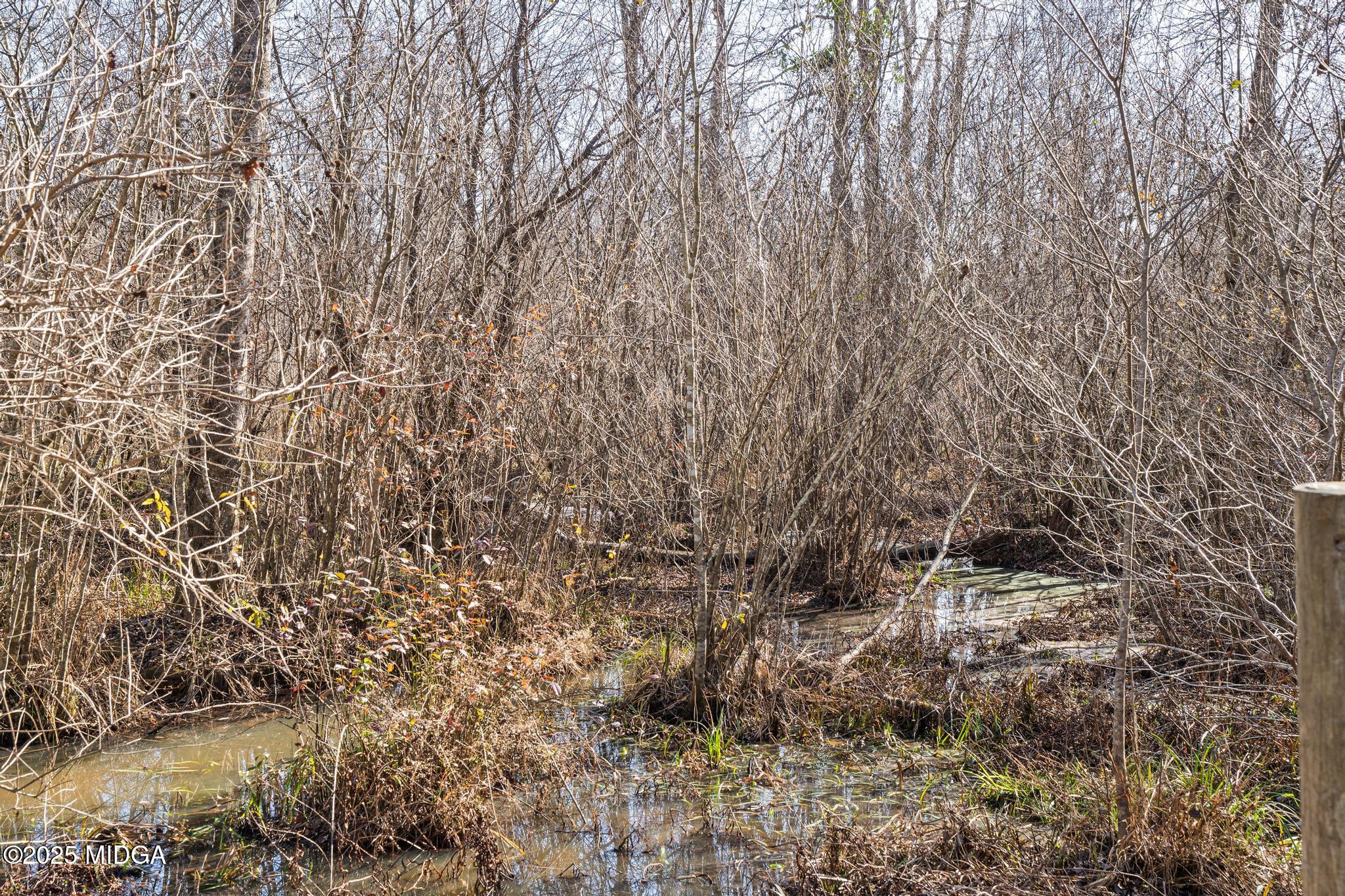 4950 Marshall Mill Road Lizella, GA 31052 - Photo 53 of 64 DSC02400