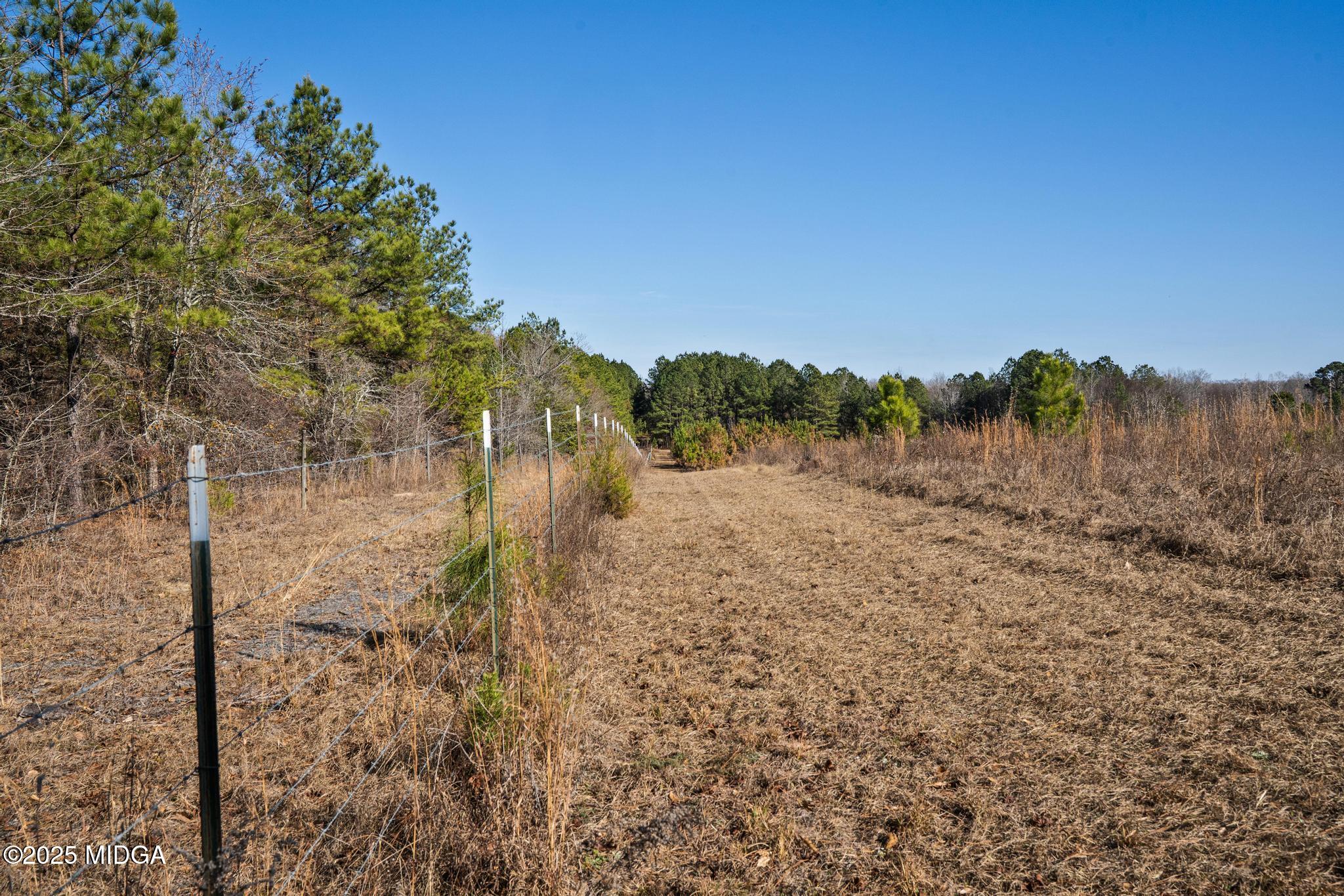 4950 Marshall Mill Road Lizella, GA 31052 - Photo 54 of 64 DSC02390