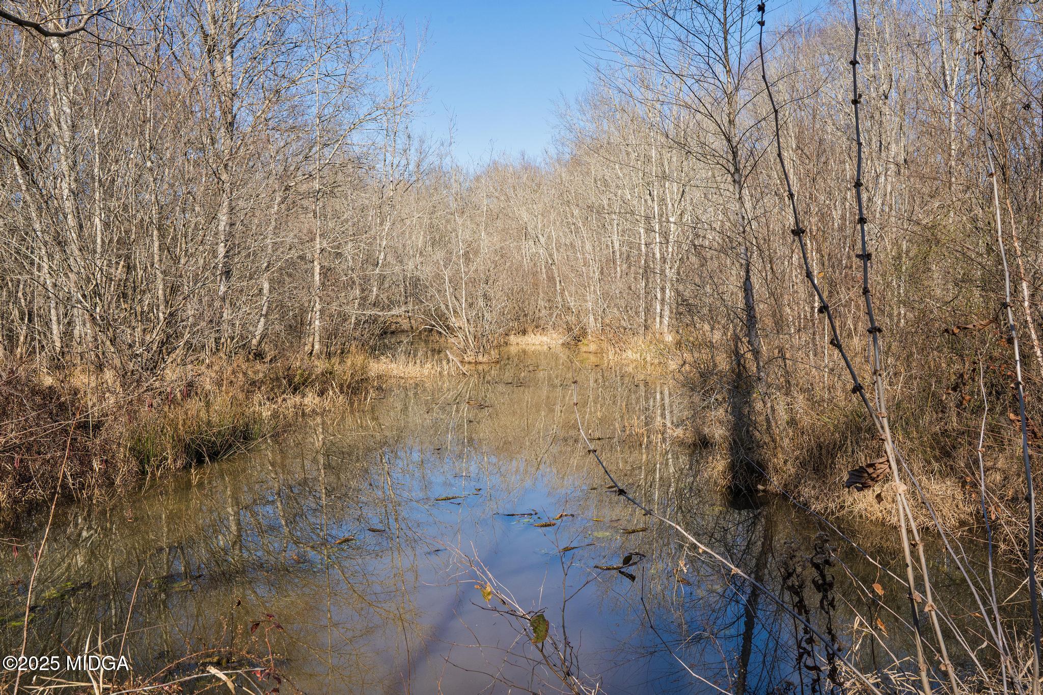 4950 Marshall Mill Road Lizella, GA 31052 - Photo 55 of 64 DSC02394