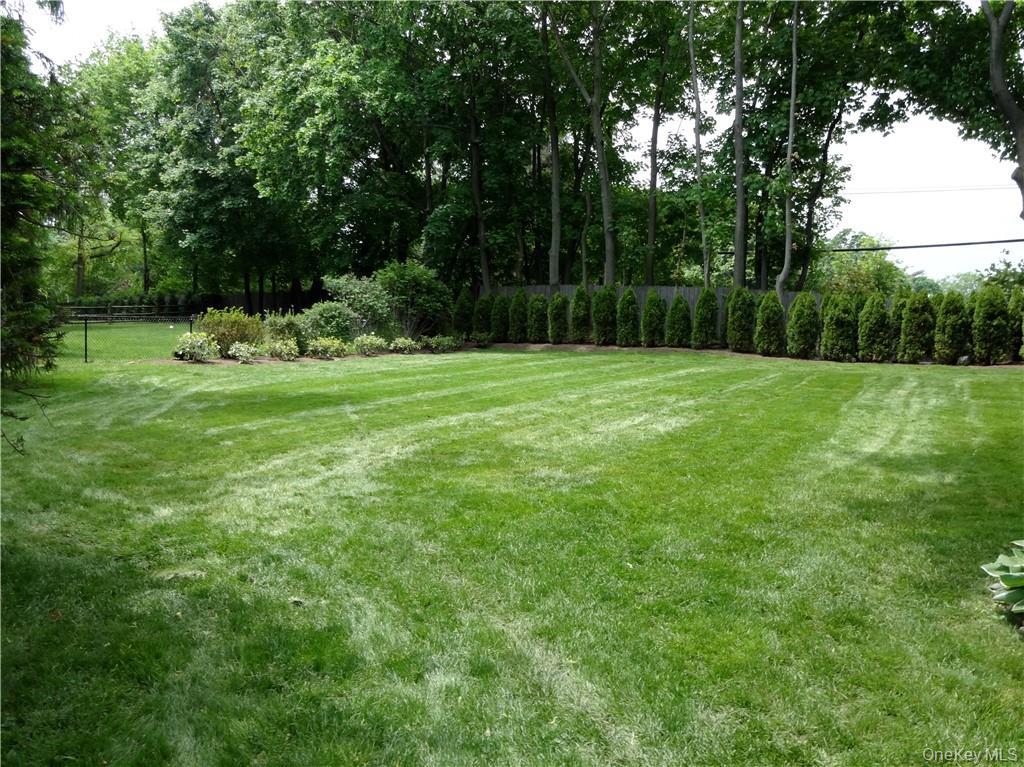 9 Franklin Avenue Rye, NY 10580 - Photo 34 of 35 a view of outdoor space and yard