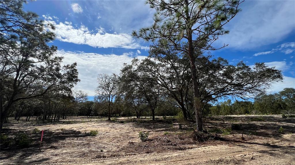 Tbd Tbd 72nd Pl Northeast  