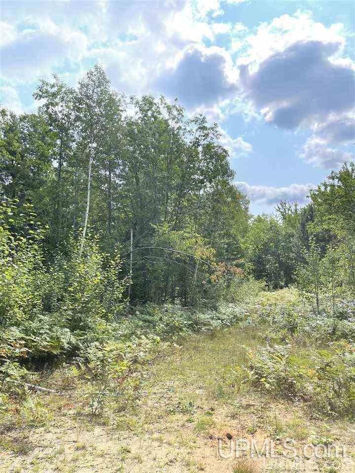 Tbd Timber Creek Road Marquette, MI 49855 - Photo 4 of 14