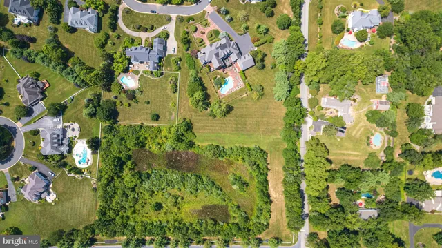 a view of flowers and tree