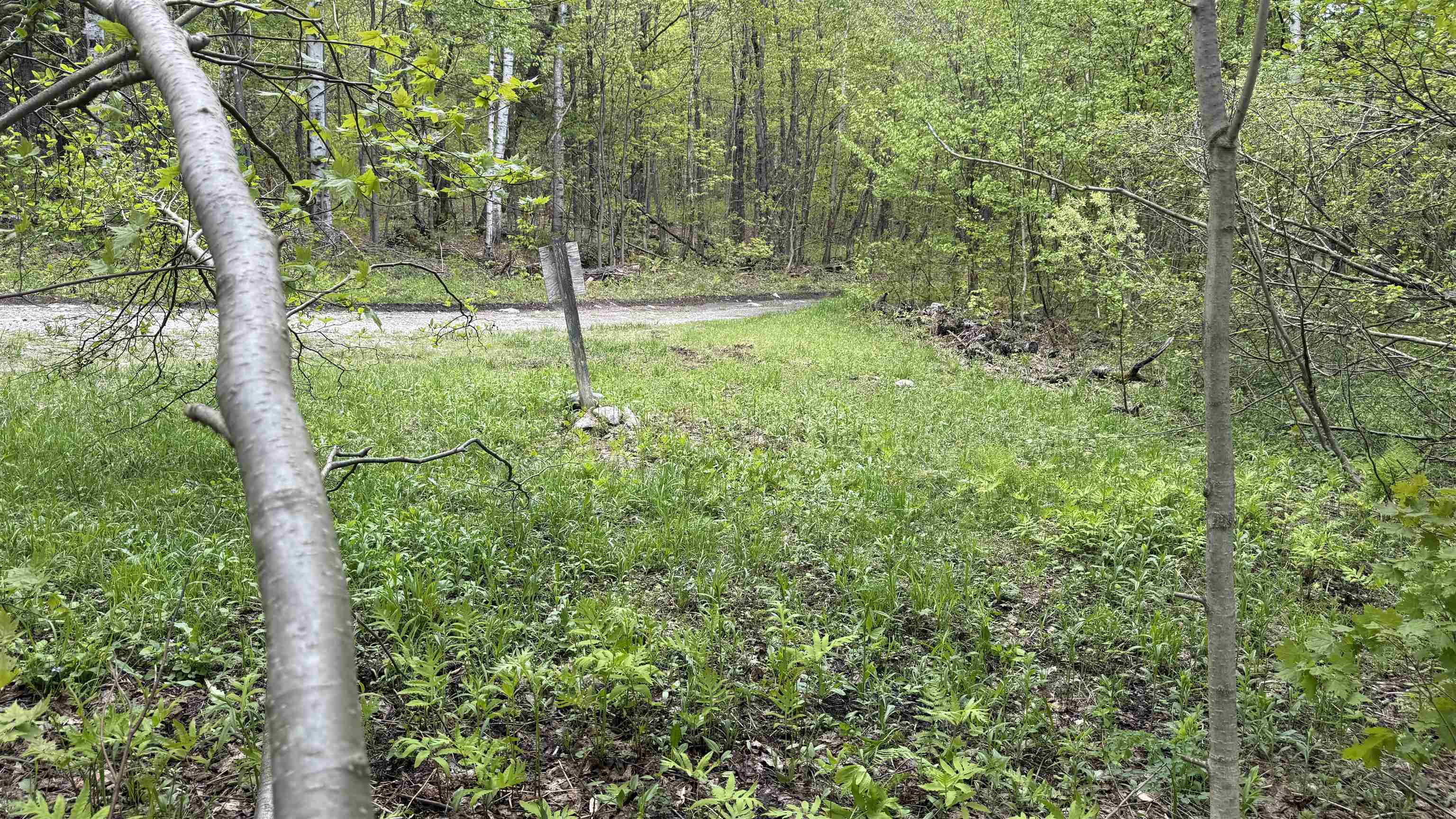 0 Potter Road Lowell, VT 05847 - Photo 2 of 48