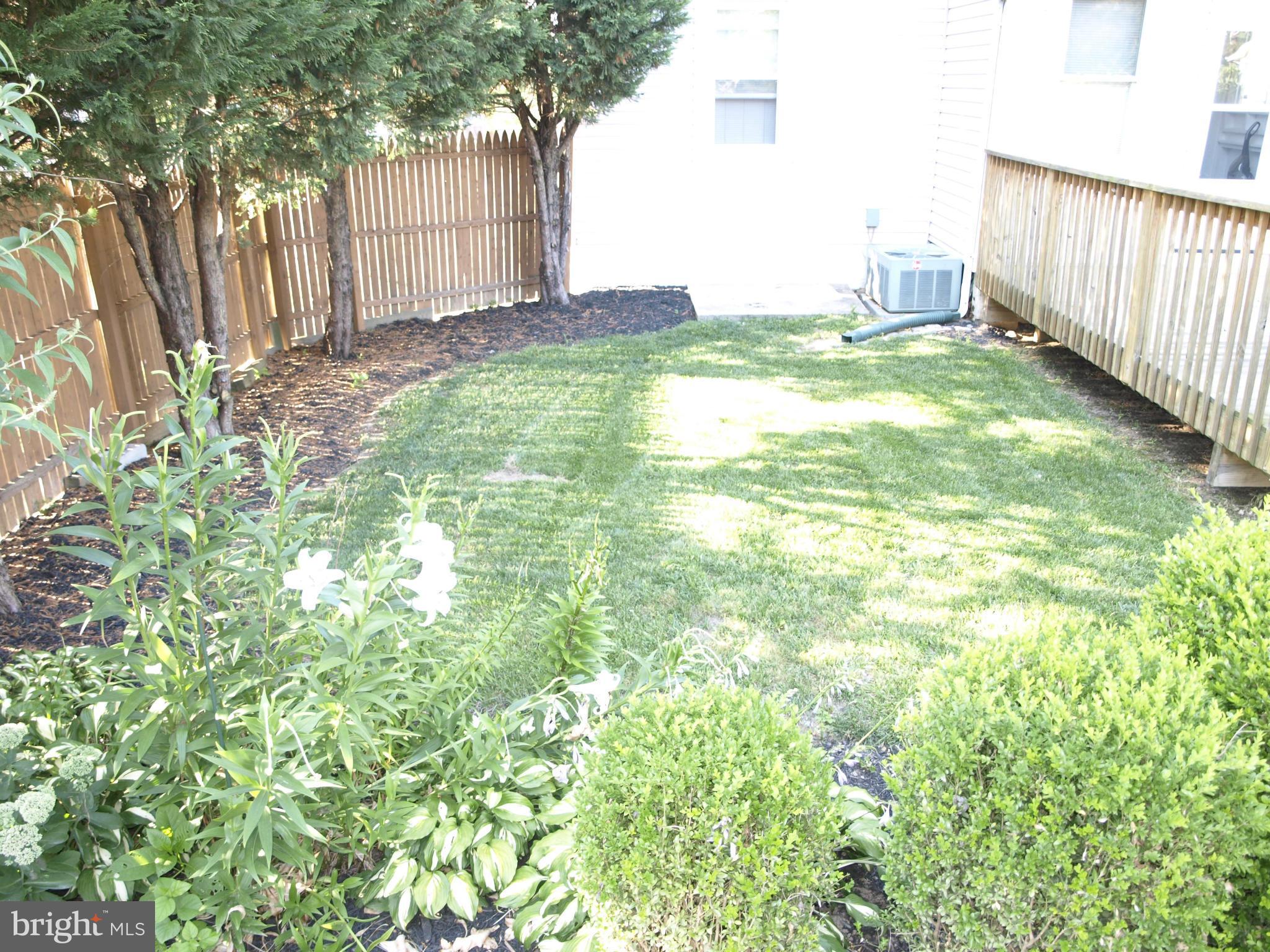 637 Cresswell Road Baltimore, MD 21225 - Photo 25 of 30 Exterior (General)