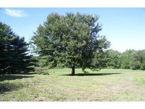 770 Province Road Strafford, NH 03884 - Photo 4 of 4