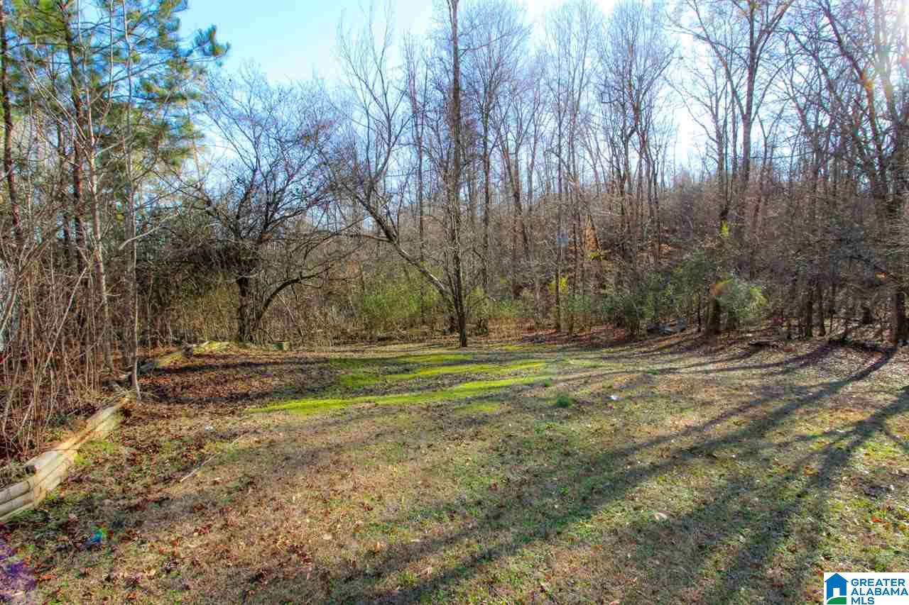 496 Greensport Road Ohatchee, AL 36271 - Photo 25 of 30