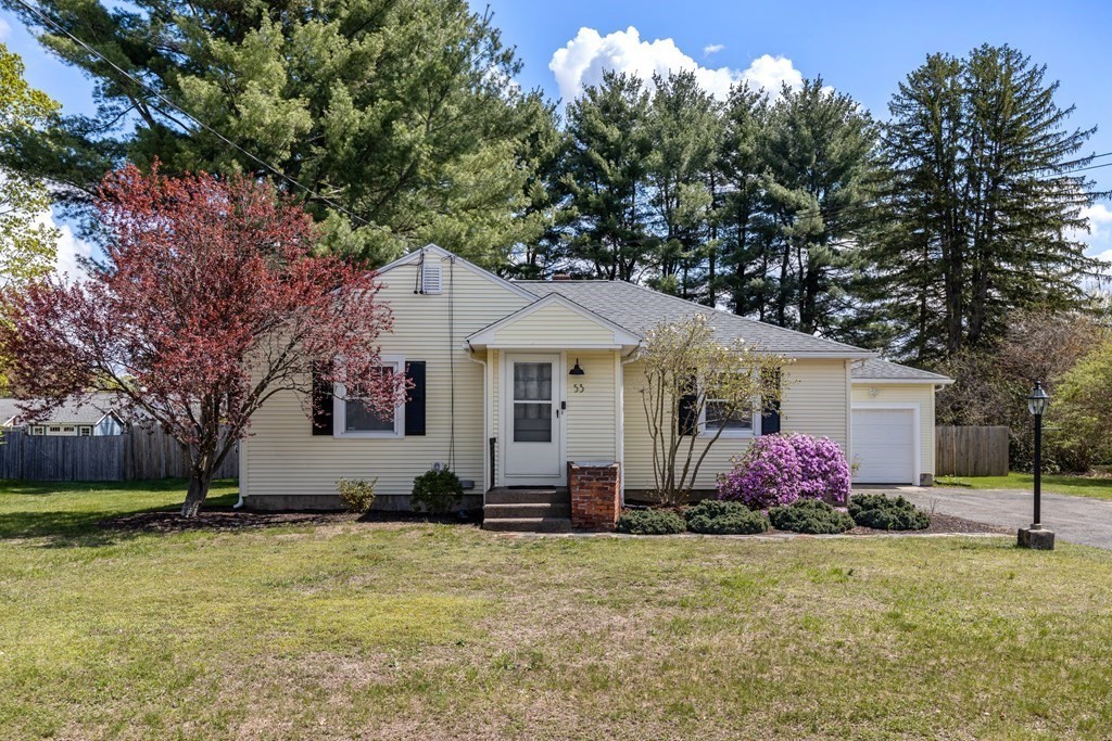 53 Wilson Street Ludlow, MA 01056 - Photo 3 of 26 a front view of house with yard and trees