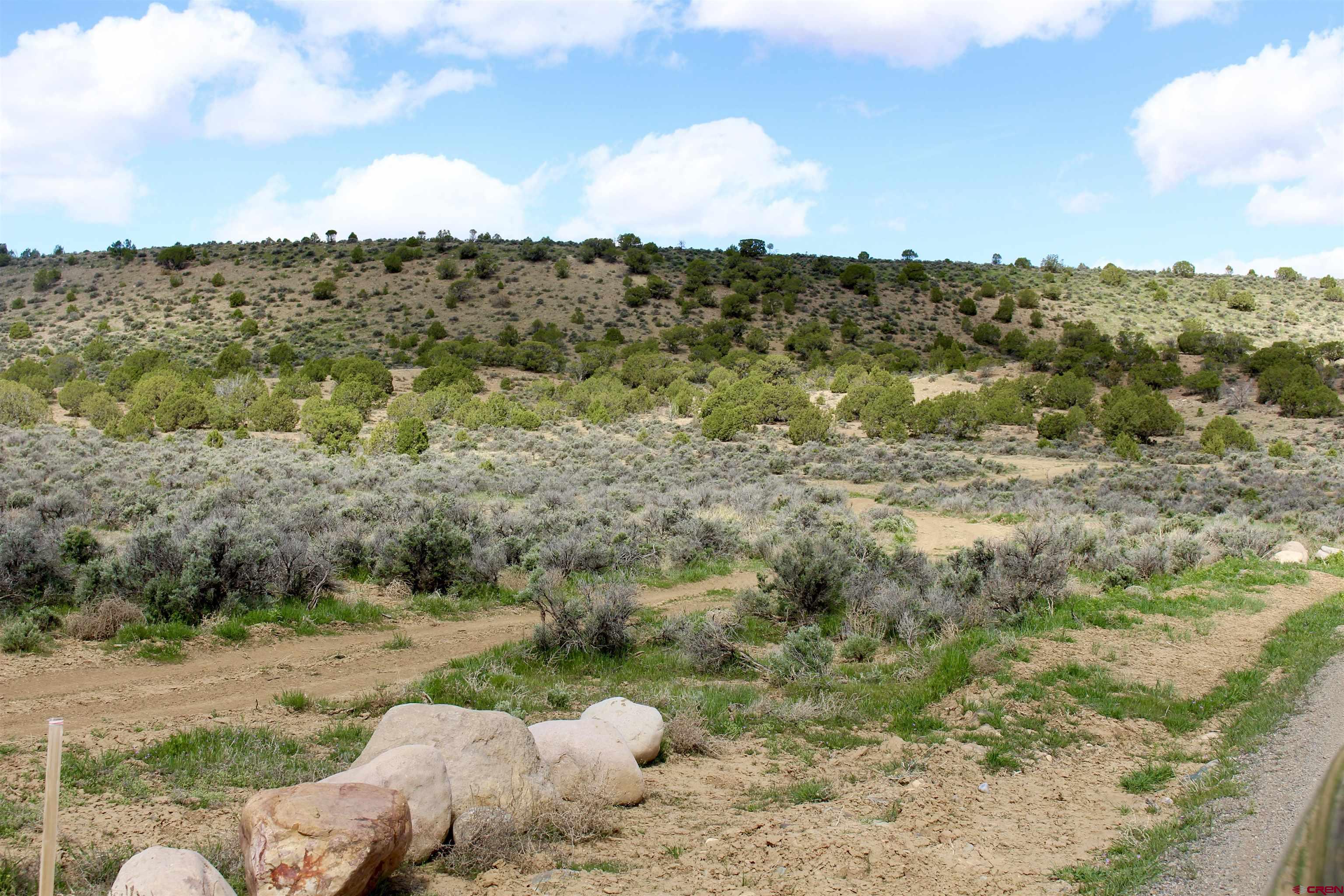 Tin Cup Lot 2 6300th Road Montrose, CO 81403 - Photo 7 of 14 a view of a outdoor space