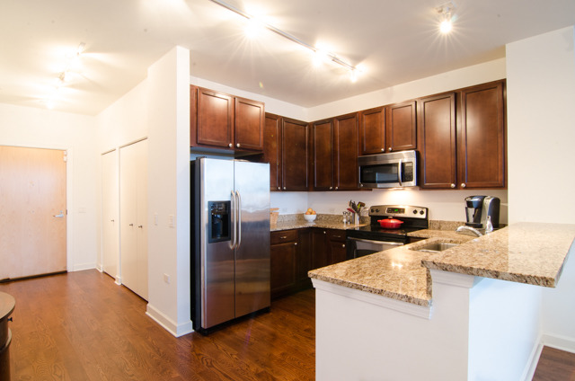 1629 South Prairie Avenue, Unit 909 Chicago, IL 60616 - Photo 2 of 12