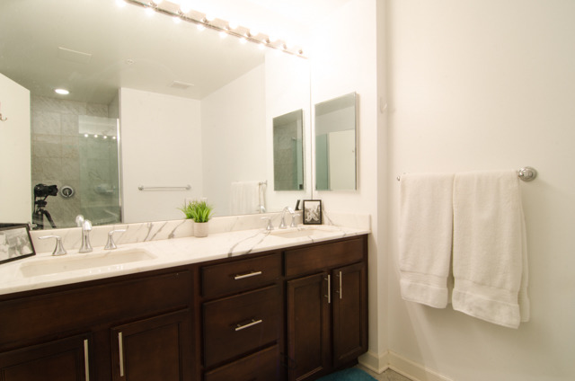 1629 South Prairie Avenue, Unit 909 Chicago, IL 60616 - Photo 5 of 12
