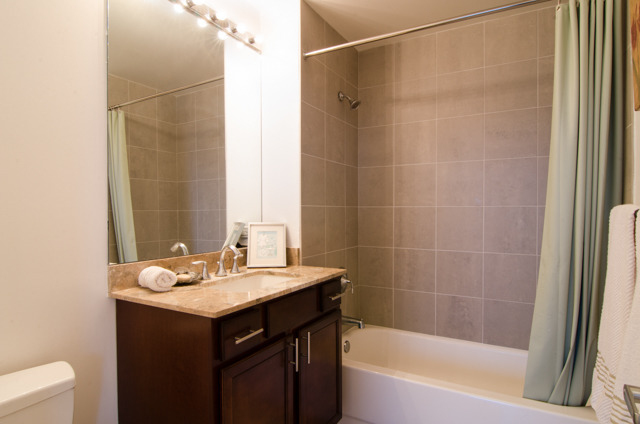 1629 South Prairie Avenue, Unit 909 Chicago, IL 60616 - Photo 7 of 12