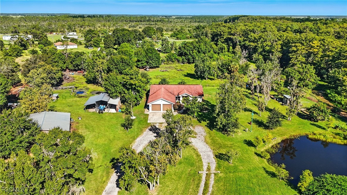 2373 Summerall Road LaBelle, FL 33935 - Photo 34 of 47 a view of a yard with plants and large trees