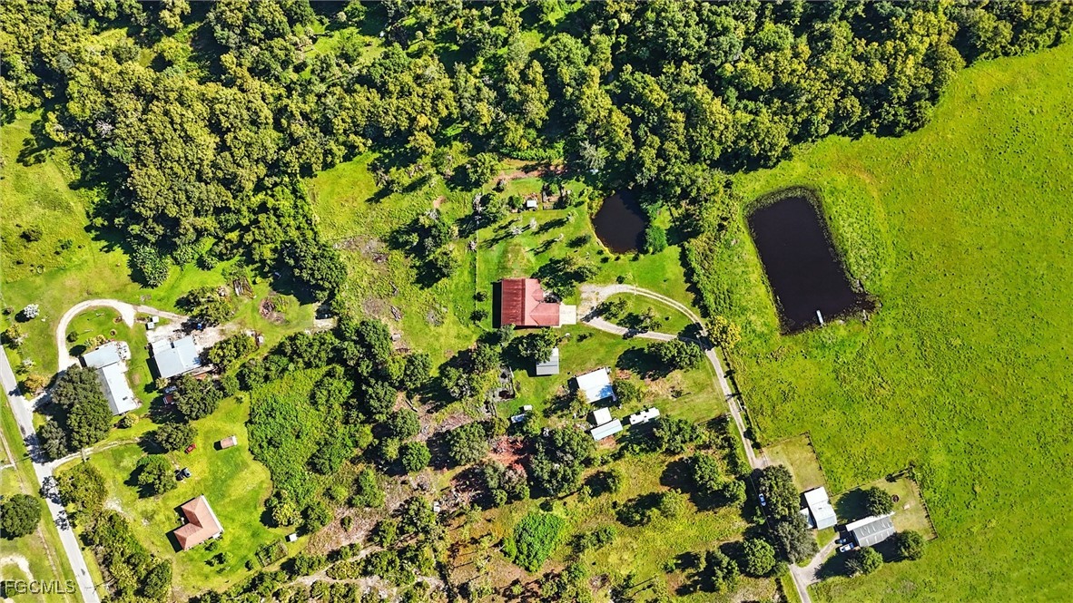 2373 Summerall Road LaBelle, FL 33935 - Photo 41 of 47 a view of a garden