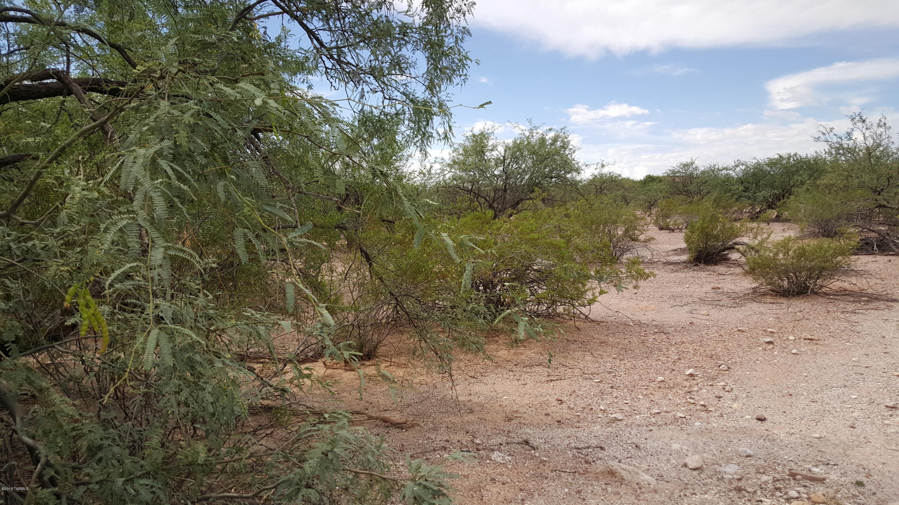 Tbd North Wendell Road Tucson, AZ 85749 - Photo 8 of 8
