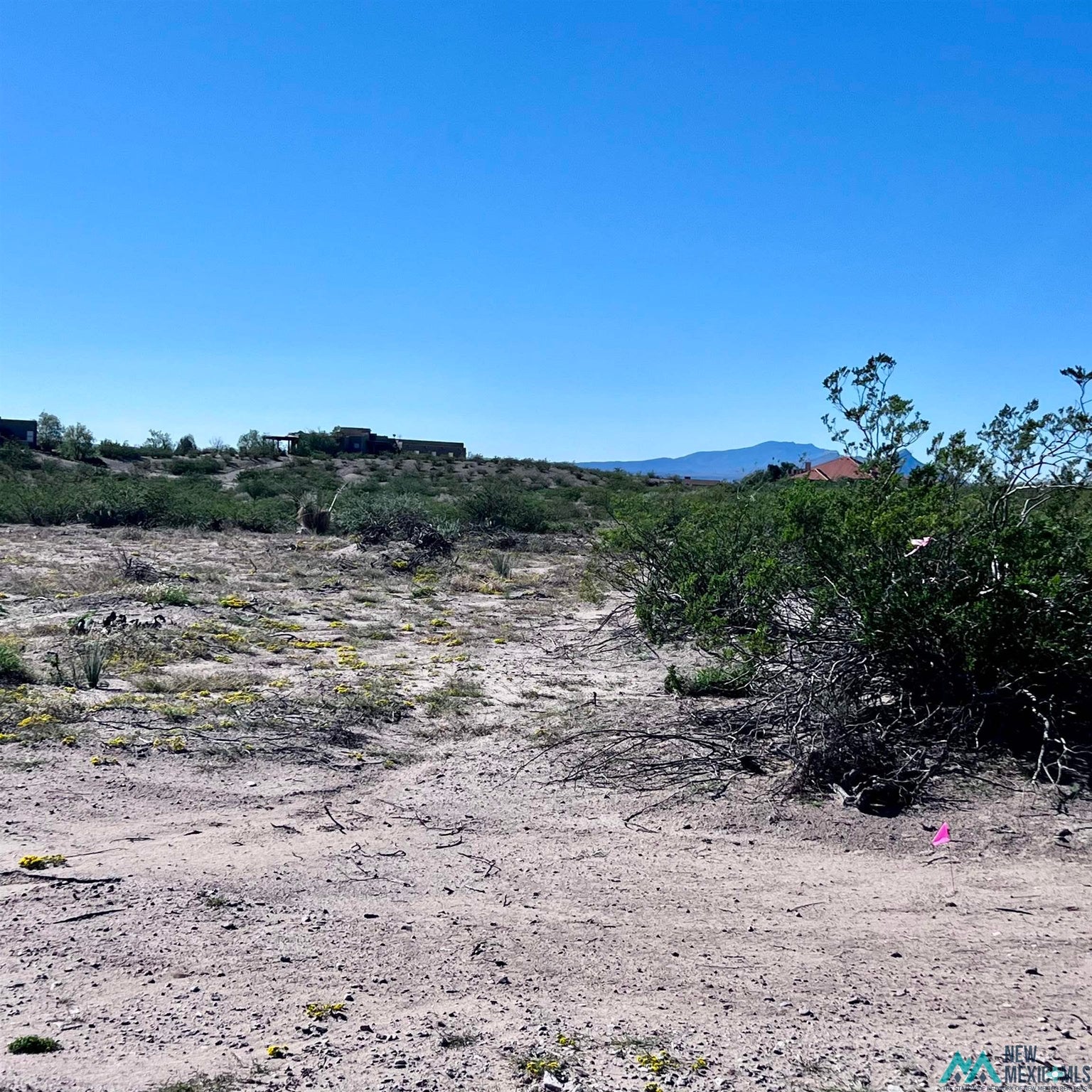 643 Mustang Road Truth Or Consequences, NM 87901 - Photo 3 of 13 Gallery Image 3