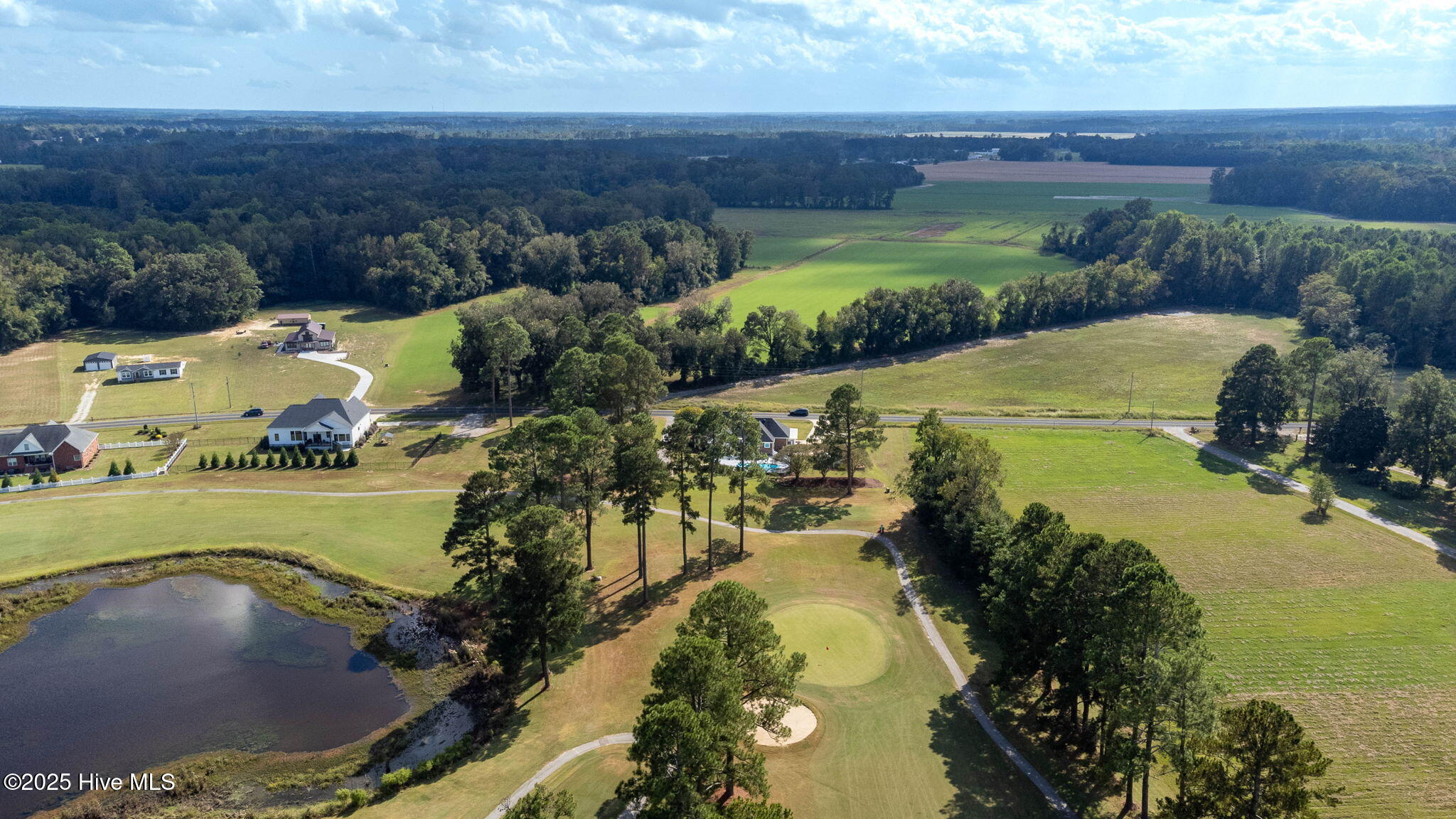 2198 Bill Hooks Road Whiteville, NC 28472 - Photo 6 of 56 Aerial View From Home