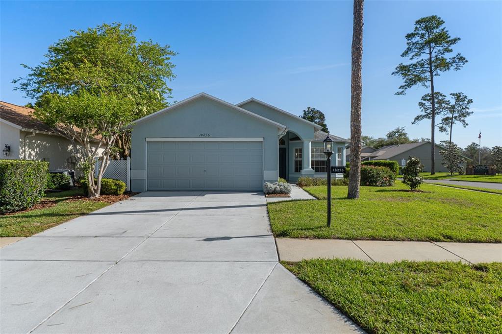 18236 Webster Grove Drive Hudson, FL 34667 - Photo 2 of 50