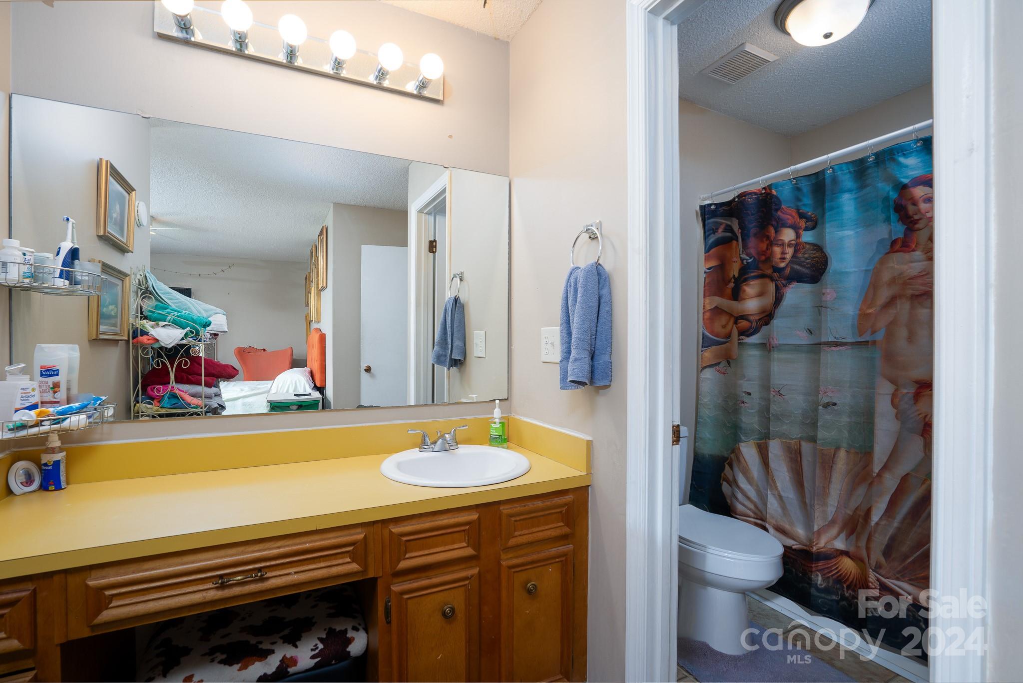 130 Log Barn Road Salisbury, NC 28146 - Photo 10 of 22 a bathroom with a sink a mirror and a shower