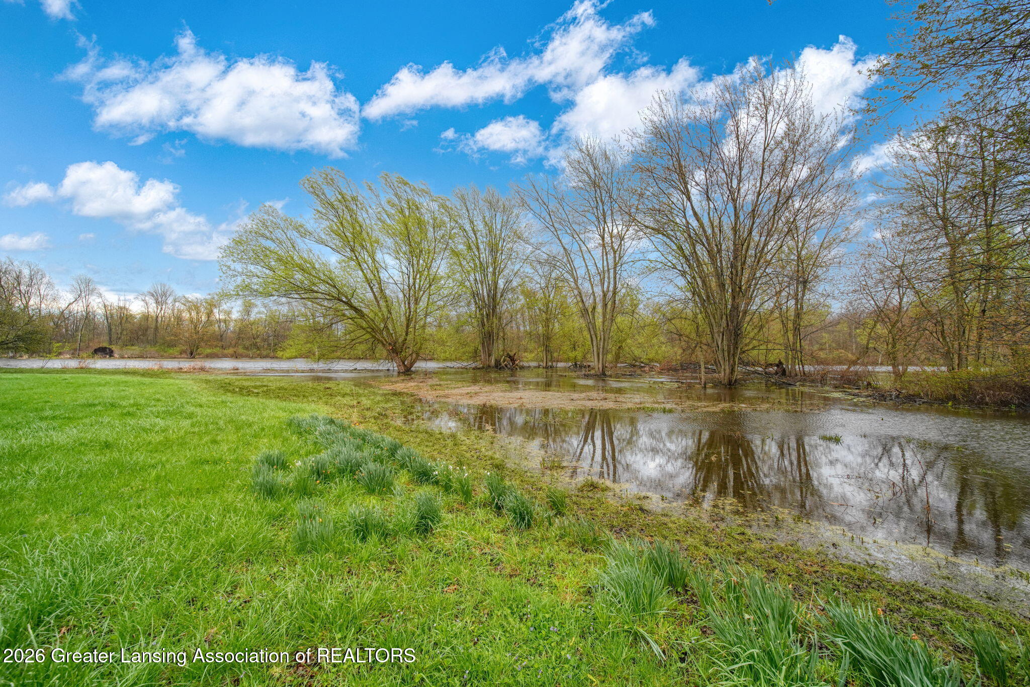 8379 Hall Road Bellevue, MI 49021 - Photo 42 of 68 42-web-or-mls-DSC08837_HDR 2