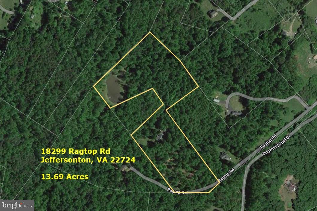18299 Ragtop Road Jeffersonton, VA 22724 - Photo 3 of 60