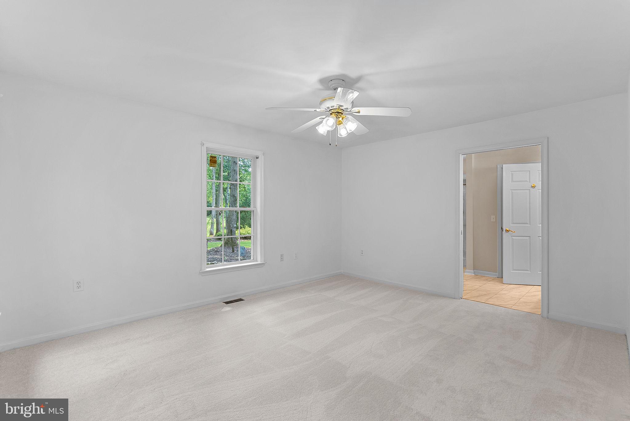 18299 Ragtop Road Jeffersonton, VA 22724 - Photo 44 of 60 Apartment Primary Suite