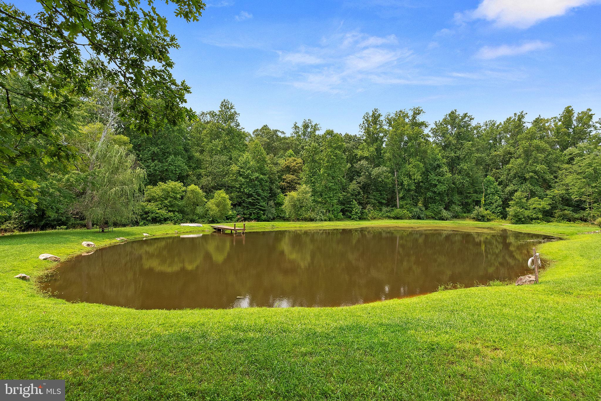 18299 Ragtop Road Jeffersonton, VA 22724 - Photo 53 of 60 Stocked Pond