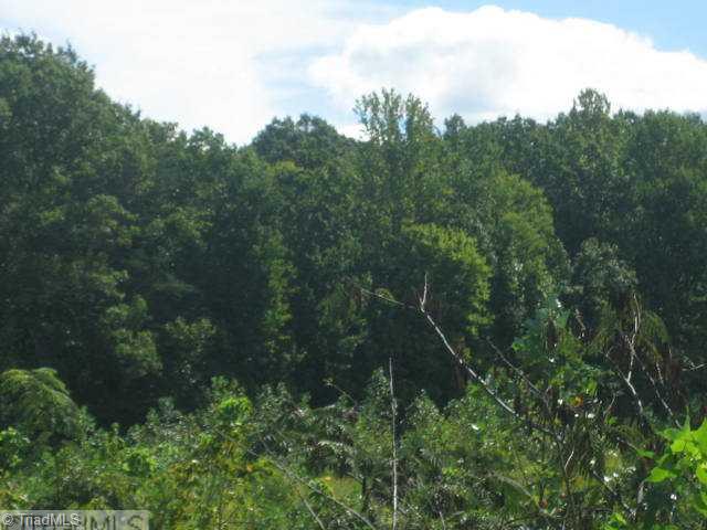 5 Neal Road Madison, NC 27025 - Photo 13 of 13 Land. Beautiful acreage, with more available if needed. Perfect place to build your dream home!