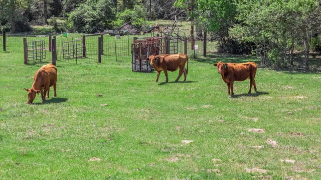 $999,999 | 889 County Road 238, Cameron, TX 76520