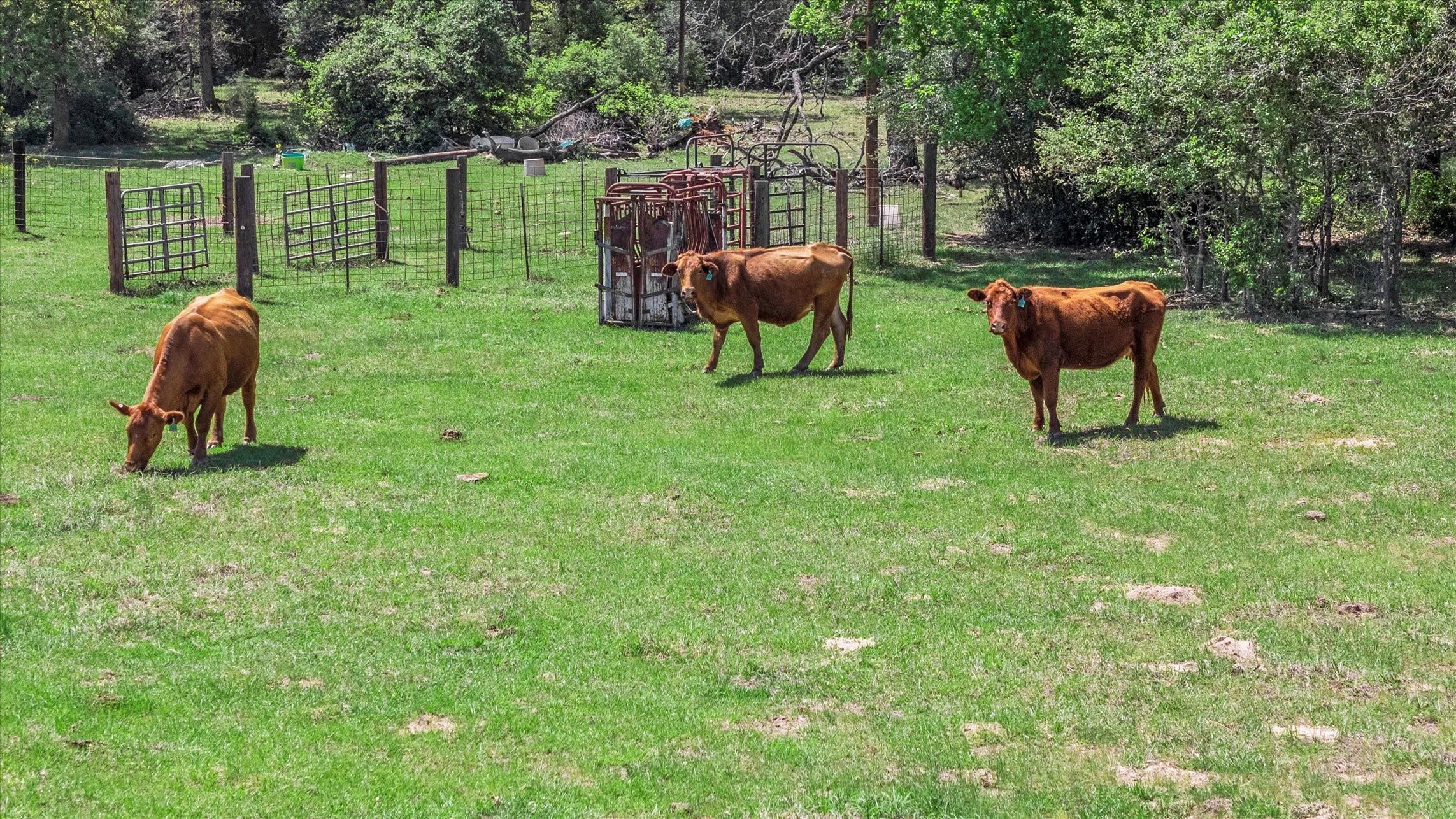 889 County Road 238 Cameron, TX 76520 - Photo 22 of 30