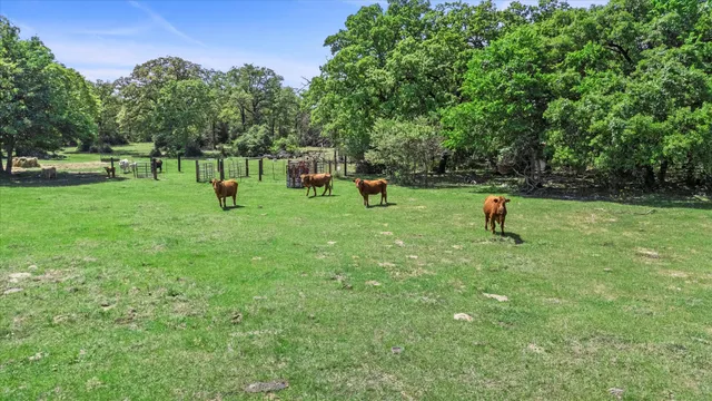 $999,999 | 889 County Road 238, Cameron, TX 76520
