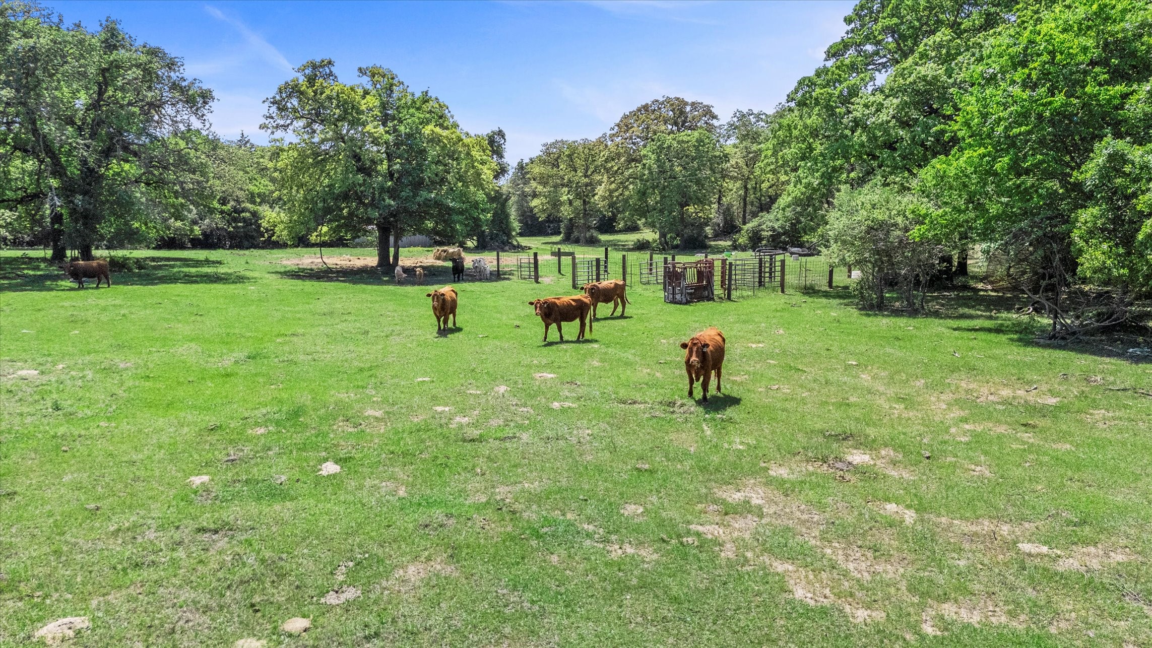 889 County Road 238 Cameron, TX 76520 - Photo 24 of 30