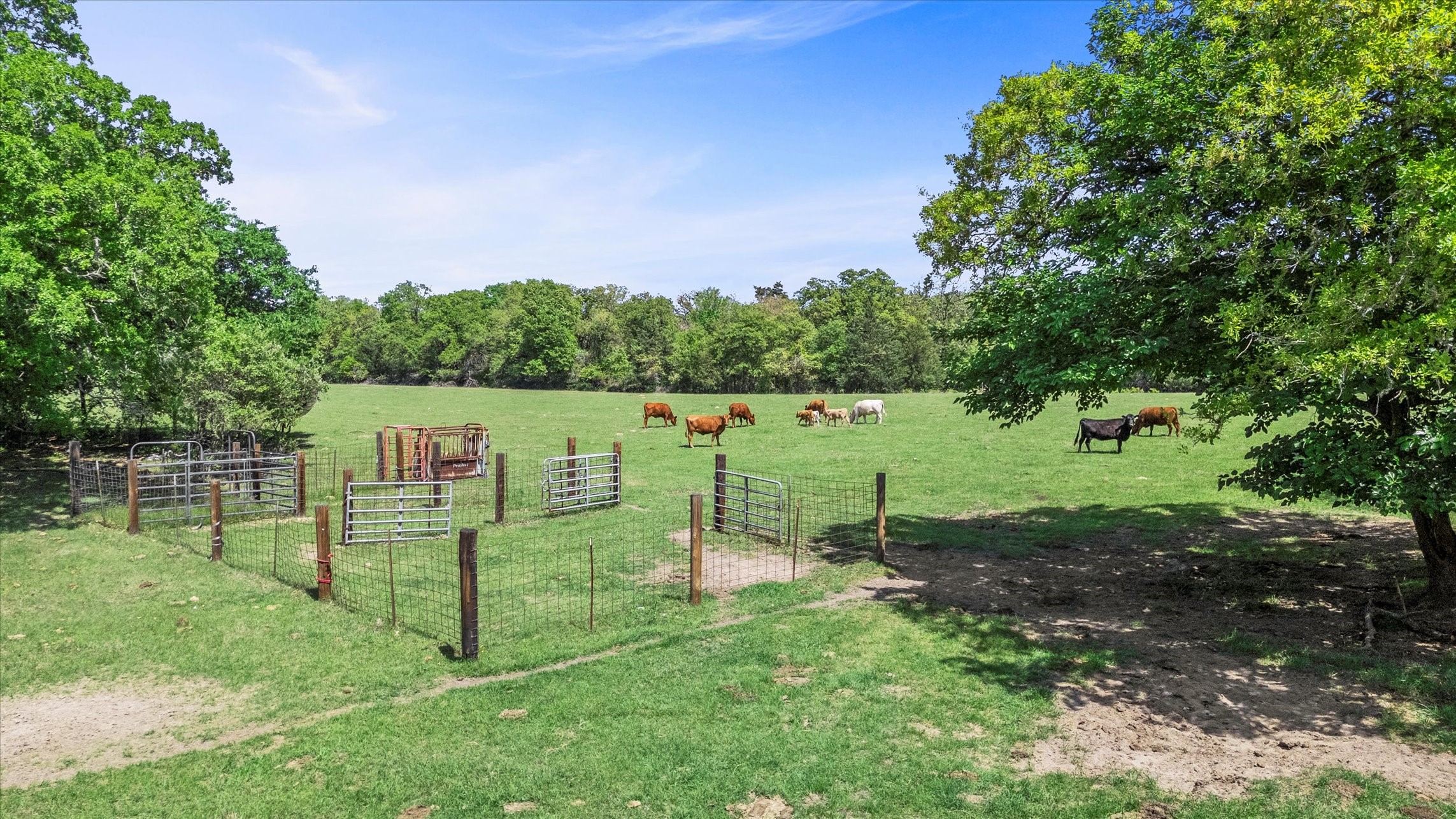 889 County Road 238 Cameron, TX 76520 - Photo 26 of 30
