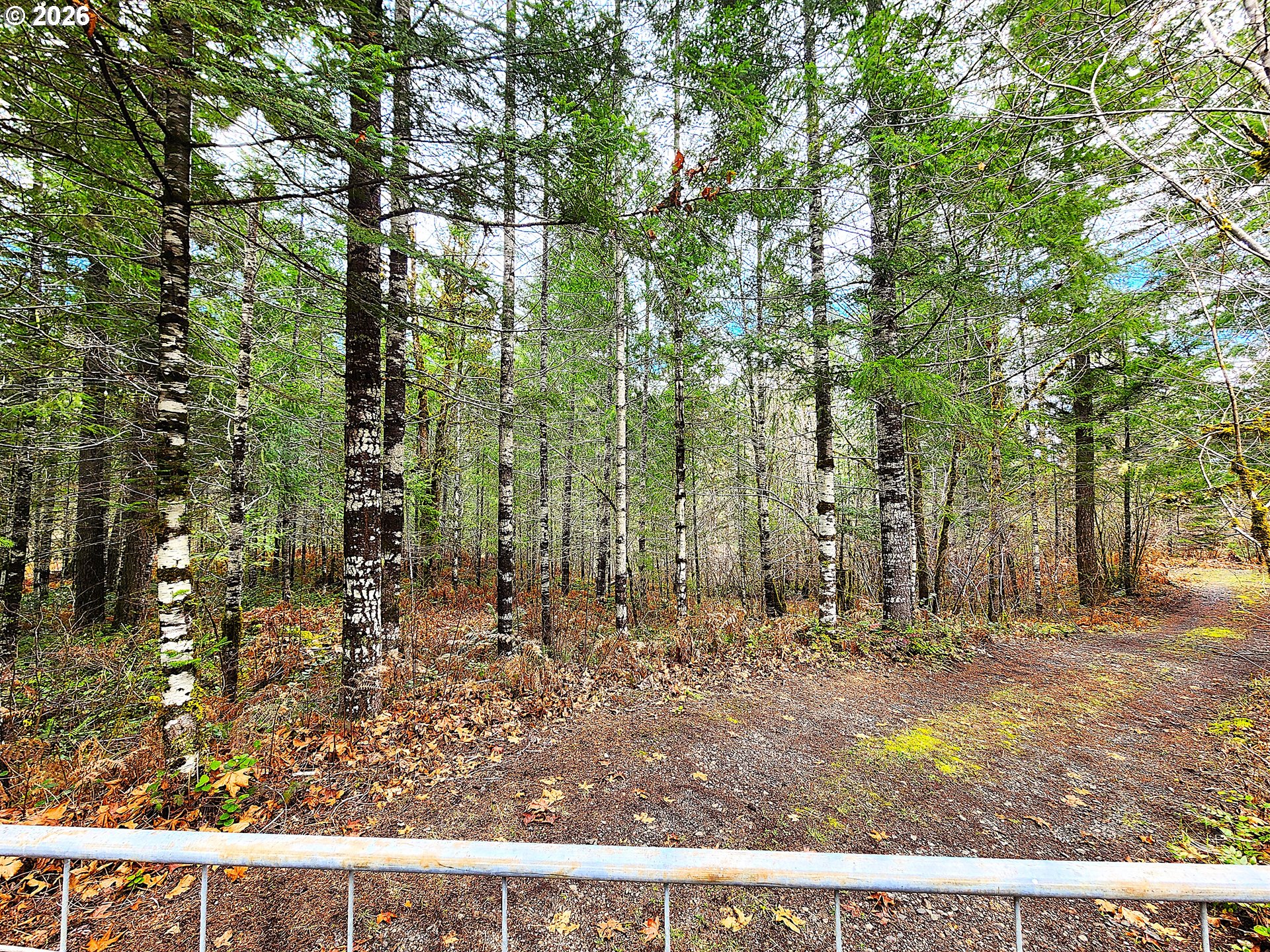 East King Road East Blue River, OR 97413 - Photo 10 of 10 Gallery Image 10