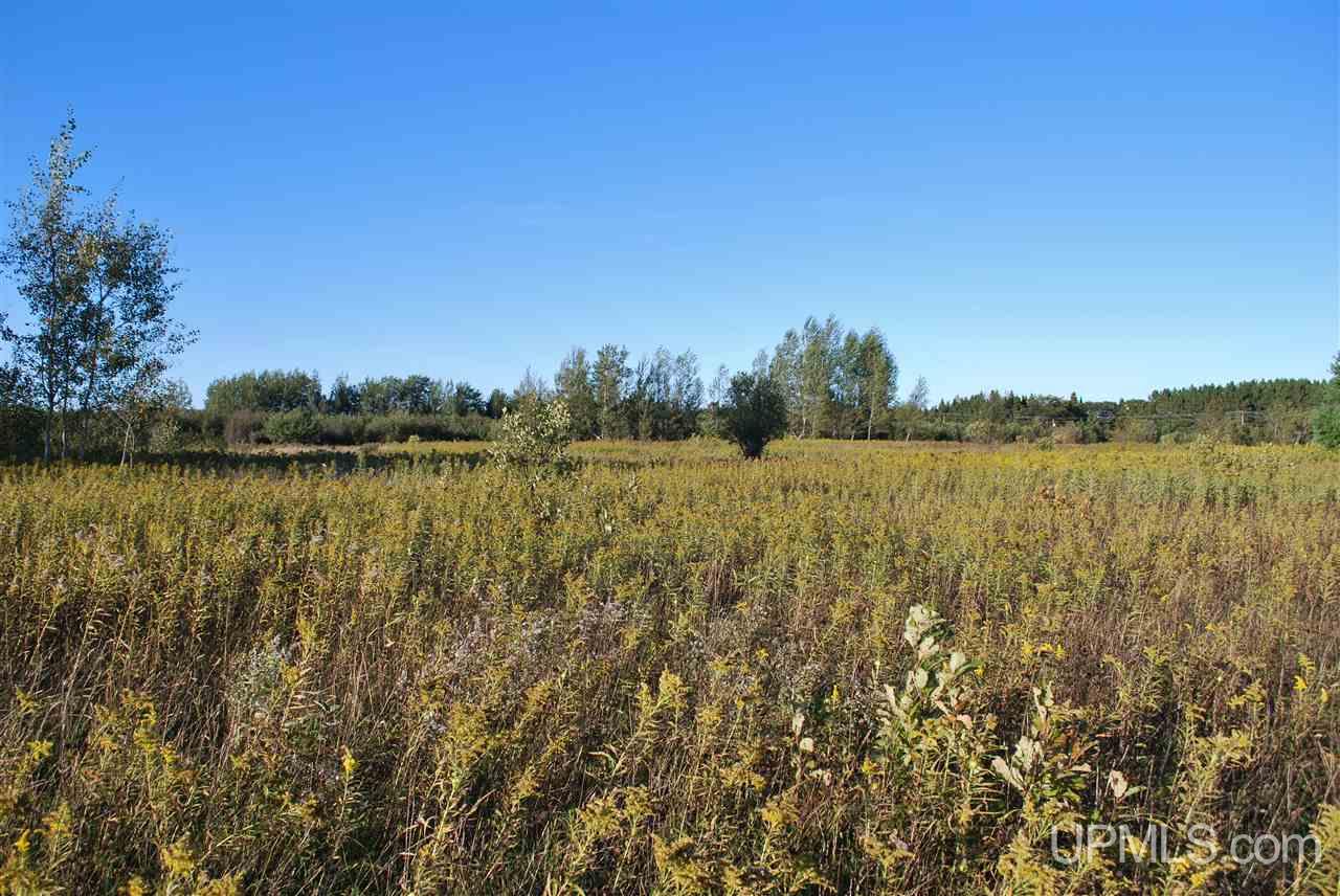 Tbd Golf Course Road Calumet, MI 49913 - Photo 15 of 34